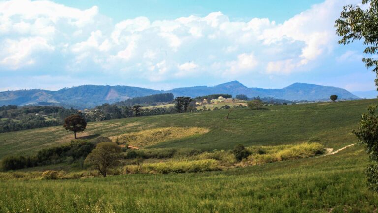 Fazenda Coronel Jacinto - Galeria Home - Foto {$1}