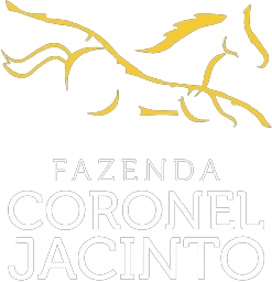 Logo - Fazenda Coronel Jacinto